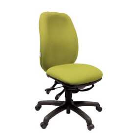 Adapt 620 Ergonomic Office Chair