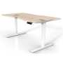 Sit Stand Desks