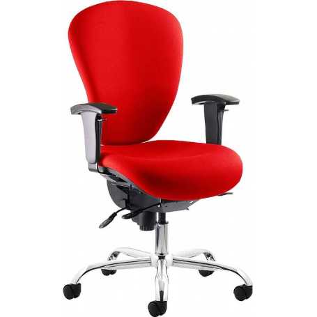 Sphere Ergonomic Office Chairs