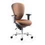 Sphere Ergonomic Office Chairs