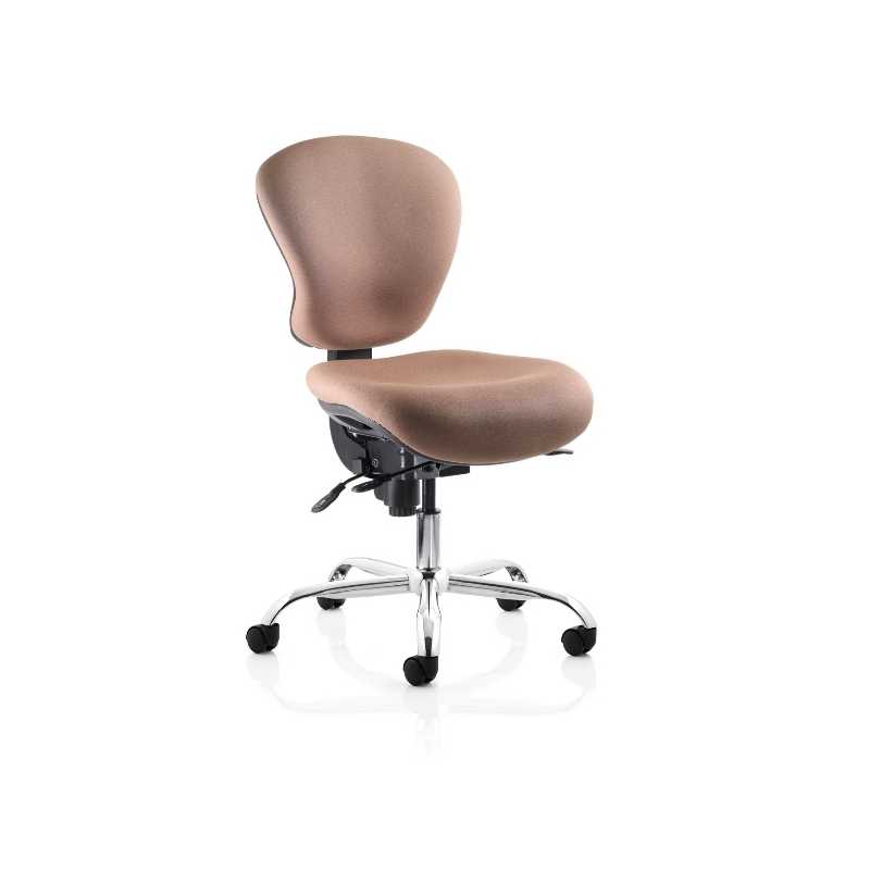 Sphere Ergonomic Office Chairs, 24 Hour Use Chairs