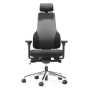 Apex Posture Chair