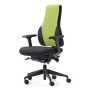 Apex Posture Chair