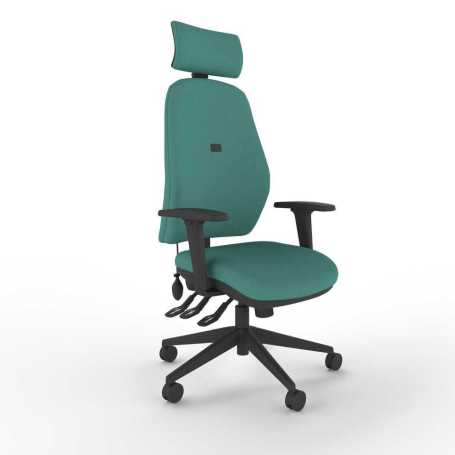 Intro Ergonomic High Back Office Chair