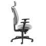 Ranworth Task Chair with Headrest