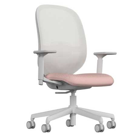 Way Deluxe Mesh Back Task Chair