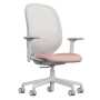 Way Deluxe Mesh Back Task Chair