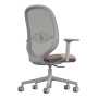 Way Deluxe Mesh Back Task Chair