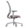 Way Deluxe Mesh Back Task Chair