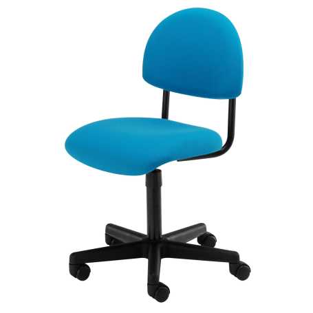 Tamperproof IT Chair for Adults